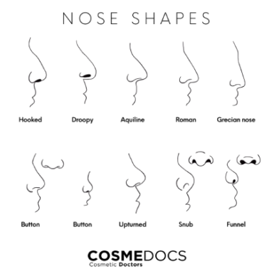 Nose types